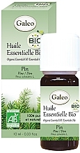 Organic Pine Essential Oil - Galeo Organic Essential Oil Pine — photo N8