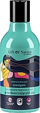Shampoo for Greasy Hair - Vis Plantis Gift of Nature Normalizing Shampoo For Greasy Hair — photo N1