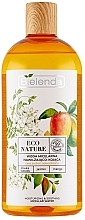 Fragrances, Perfumes, Cosmetics Micellar Water - Bielenda Eco Nature Moisturizing & Soothing Micellar Water