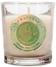 Scented Candle "Refreshing" - Flagolie Fragranced Candle Refreshing Peace — photo N1