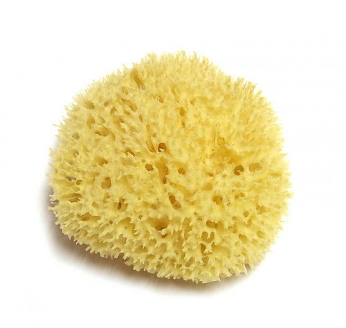 Natural Sea Sponge, 14 cm - Hydrea London Honeycomb Sea Sponge Premium Quality — photo N3