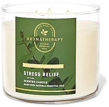 Fragrances, Perfumes, Cosmetics Bath and Body Works Eucalyptus Spearmint 3-Wick Candle - Scented Candle