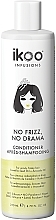 No Frizz, No Drama Conditioner - Ikoo Infusions No Frizz, No Drama Conditioner — photo N2