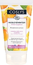 Fragrances, Perfumes, Cosmetics Repairing, Protecting, and Nourishing Mask for Dry and Damaged Hair with Mirabelle Oil - Coslys Hair Care Hair Repairing Mask with Mirabelle