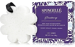 Fragrances, Perfumes, Cosmetics Reusable Foam Bath Sponge 'Blackberry' - Spongelle Private Reserve Collection Blackberry