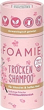 Blonde Dry Shampoo - Foamie Dry Shampoo Berry Blossom — photo N2