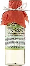 Fragrances, Perfumes, Cosmetics Hair Growth & Shine Shampoo - Lemongrass House Shine & Growth Shampoo