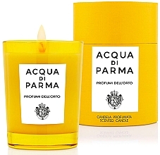 Acqua Di Parma Profumi Dell'orto - Scented Candle — photo N2