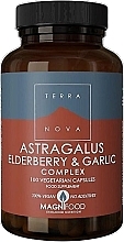 Astragalus + Elderberry + Garlic Complex - Terranova Astragalus Elderberry & Garlic Complex — photo N2