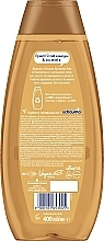 Shampoo for Dry & Damaged Hair - Schauma Argan Oil & Repair — photo N2
