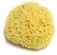 Fragrances, Perfumes, Cosmetics Bath Sponge - Hydrea London Honeycomb Sea Sponge Premium Quality