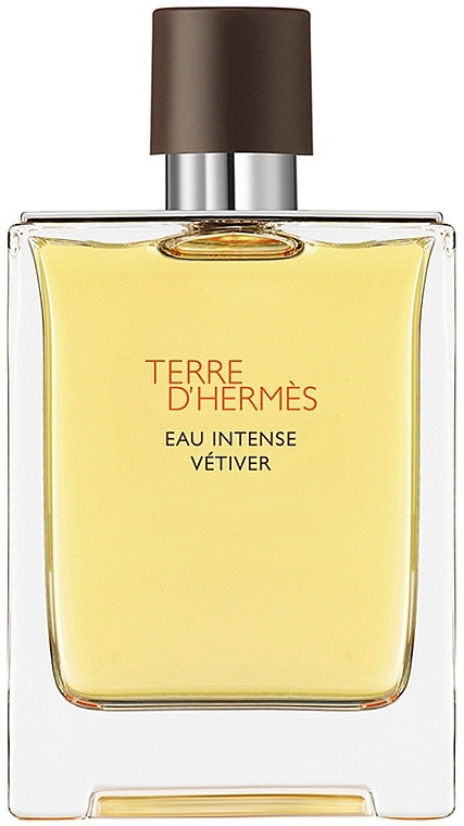 Hermes Terre D'Hermes Eau Intense Vetiver - Eau de Parfum (tester with cap) — photo N1