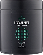 Repairing Mask for Damaged Hair - ANAGANA Renewal Mask For Damaged Hair 2 pH 4 — photo N2