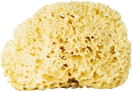 Natural Sponge, yellow, 9,5 cm - Hhuumm 04H Natural Sponge — photo N2