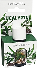 Fragrance Oil - Admit Oil Eucalyptus — photo N1