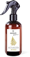 Fragrances, Perfumes, Cosmetics Chai Masala Tea Perfumed Home Spray - Ambar Zen Activacion Te Chai Home Spray