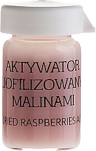 Face Concentrate-Activator with Freeze-Dried Raspberry - APIS Professional Concentrate Activator Ampule — photo N8