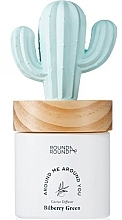 Reed Diffuser - Round A‘Round Cactus Manse Bilberry Green — photo N1