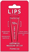 Fragrances, Perfumes, Cosmetics Lip Oil - Perfecta Lips Clinic 10% Shea Butter