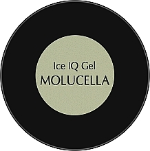 Low-Temperature Gel, yellow-pistachio - PNB UV/LED Ice IQ Gel Molucella — photo N2