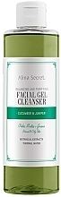 Face Cleansing Gel - Alma Secret Facial Gel Cleanser Cucumber & Juniper — photo N1