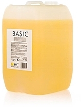 Fragrances, Perfumes, Cosmetics Shampoo "Basic Care" - HairConcept Color&Color Servise Basic Shampoo