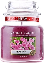 Fragrances, Perfumes, Cosmetics Scented Candle "Verbena" - Yankee Candle Verbena