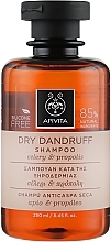 Anti-Dandruff Shampoo - Apivita Shampoo For Dry Dandruff With Celery Propolis — photo N1