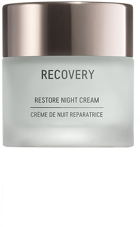 Replenishing Night Cream - Gigi Recovery Restoring Night Cream — photo N2