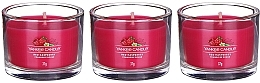 Scented Candle Set "Red Raspberry" - Yankee Candle Red Raspberry (candle/3x37g) — photo N24
