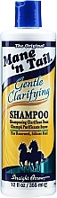 Gentle Clarifying Shampoo - Mane 'n Tail The Original Gentle Clarifying Shampoo — photo N2