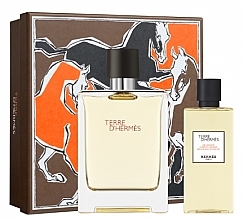 Fragrances, Perfumes, Cosmetics Hermes Terre d'Hermes - Set (edt/100ml + sh/gel/80ml)