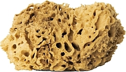 Natural Sponge, brown, 17,5 cm - Hhuumm 02H Natural Sponge — photo N2