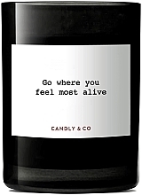 Scented Candle - Candly & Co No.5 Where You Feel Most Alive Scented Candle — photo N2