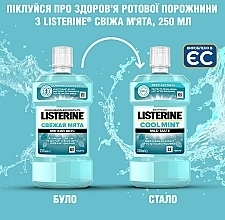 Mouthwash "Fresh Mint" - Listerine — photo N3