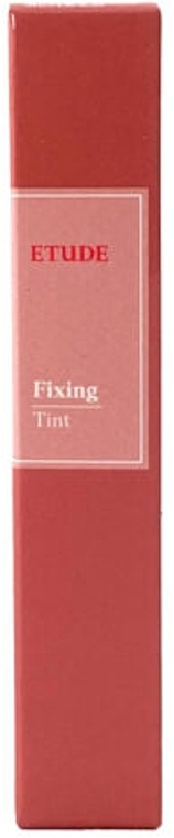 Lip Tint - Etude Fixing Tint — photo N27