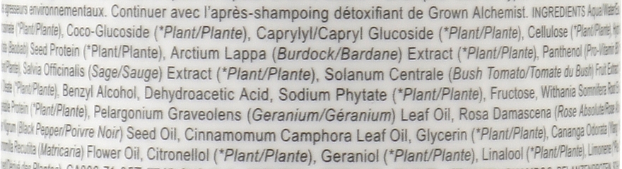 Detox Shampoo - Grown Alchemist Detox Shampoo Hydrolyzed Silk Protein & Black Pepper & Sage — photo N2