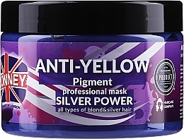 Hair Mask - Ronney Professional Anti-Yellow Pigment Silver Power Mask — photo N1