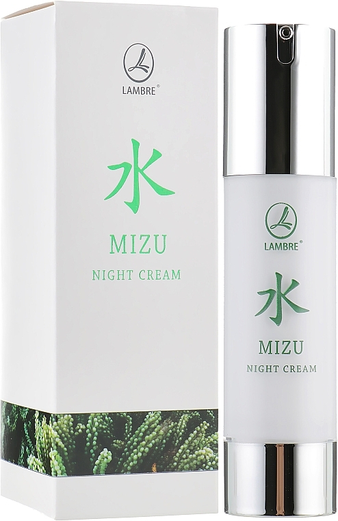 Moisturizing Night Cream - Lambre Mizu Night Cream — photo N1