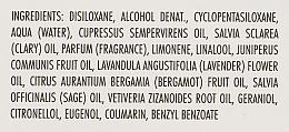 Hair Lotion with Essential Oils - La Biosthetique Methode Normalisante Visarome Dynamique N — photo N2