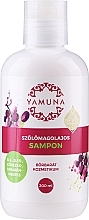 Fragrances, Perfumes, Cosmetics Grape Seed Oil Shampoo - Yamuna Grape Seed Oil Shampoo