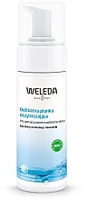 Face Cleansing Foam - Weleda Delicate Cleansing Foam — photo N9