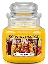 Fragrances, Perfumes, Cosmetics Scented Candle in Jar - Country Candle Autumn Harvest