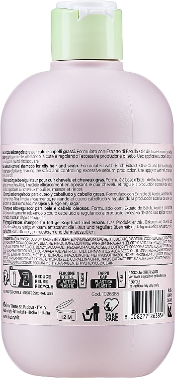 Oily Scalp Shampoo - Inebrya Ice Cream Balance Shampoo — photo N2