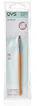 Lip Brush - Qvs Lip Brush Nylon — photo N3