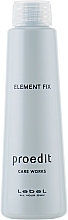 Smoothing Hair Serum - Lebel Proedit Element Charge Care Works Element Fix — photo N16