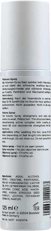 Volume Hair Spray - Alcina Volume Spray — photo N2