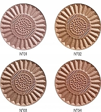 Bronzing Powder - Revers Bronze & Shimmer (4) — photo N2