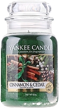 Fragrances, Perfumes, Cosmetics Candle in Glass Jar - Yankee Candle Cinnamon & Cedar