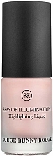 Light-Reflecting Face Emulsion - Rouge Bunny Rouge Seas Of Illumination Highlighting Liquid — photo N1